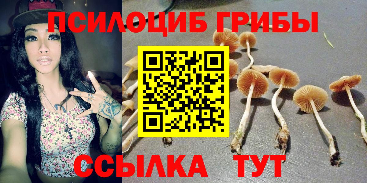 Галлюциногенные грибы мицелий  Галлюциногенные грибы MAGIC MUSHROOMS  Вход с VPN  Шелехов 